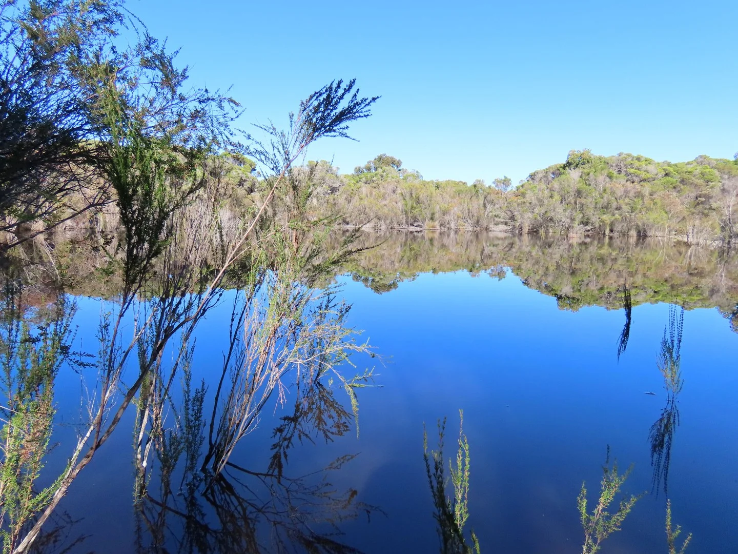 Lot 101 Jangardup Road, Lake Jasper WA 6260