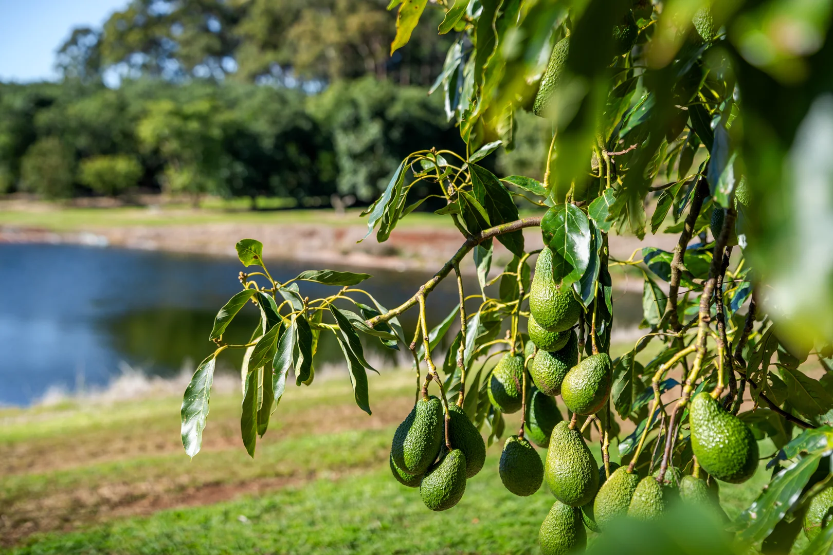Additional image 3 of 'Ravensbourne Ridge' 45 Blanck Road, Ravensbourne QLD 4352