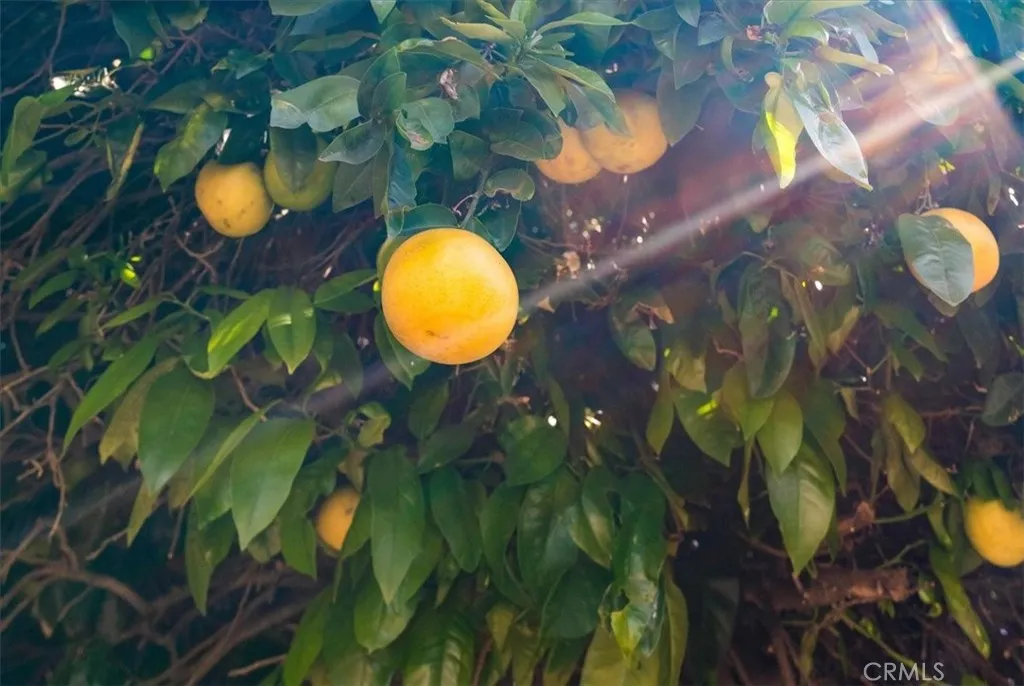 Additional image 39 of 857 Mesa Drive, Arroyo Grande, CA 93420