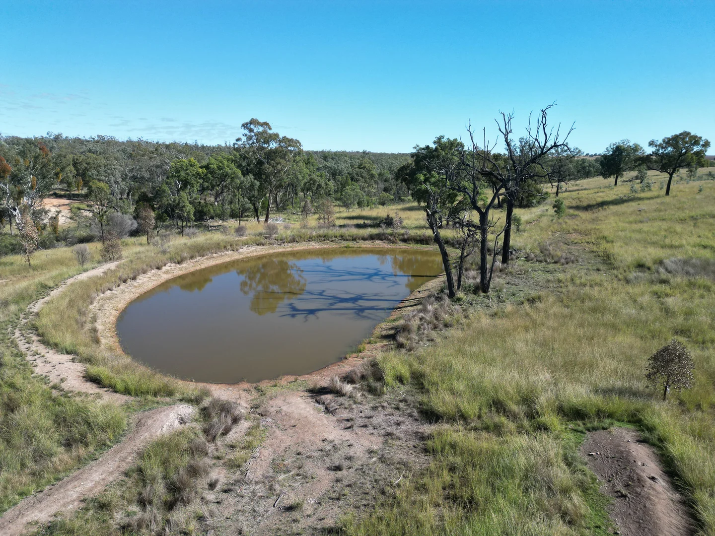 Additional image 8 of 0 Emmaville Road, Ashford NSW 2361