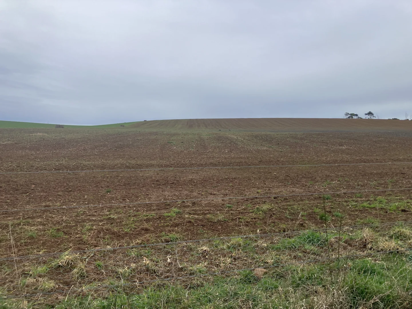 Additional image 2 of 67 Myrtle Grove Road, Wiltshire TAS 7321