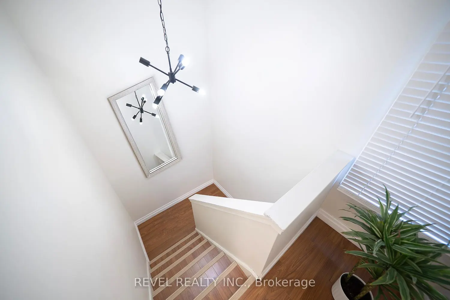 Additional image 10 of 273 Elgin Street 41