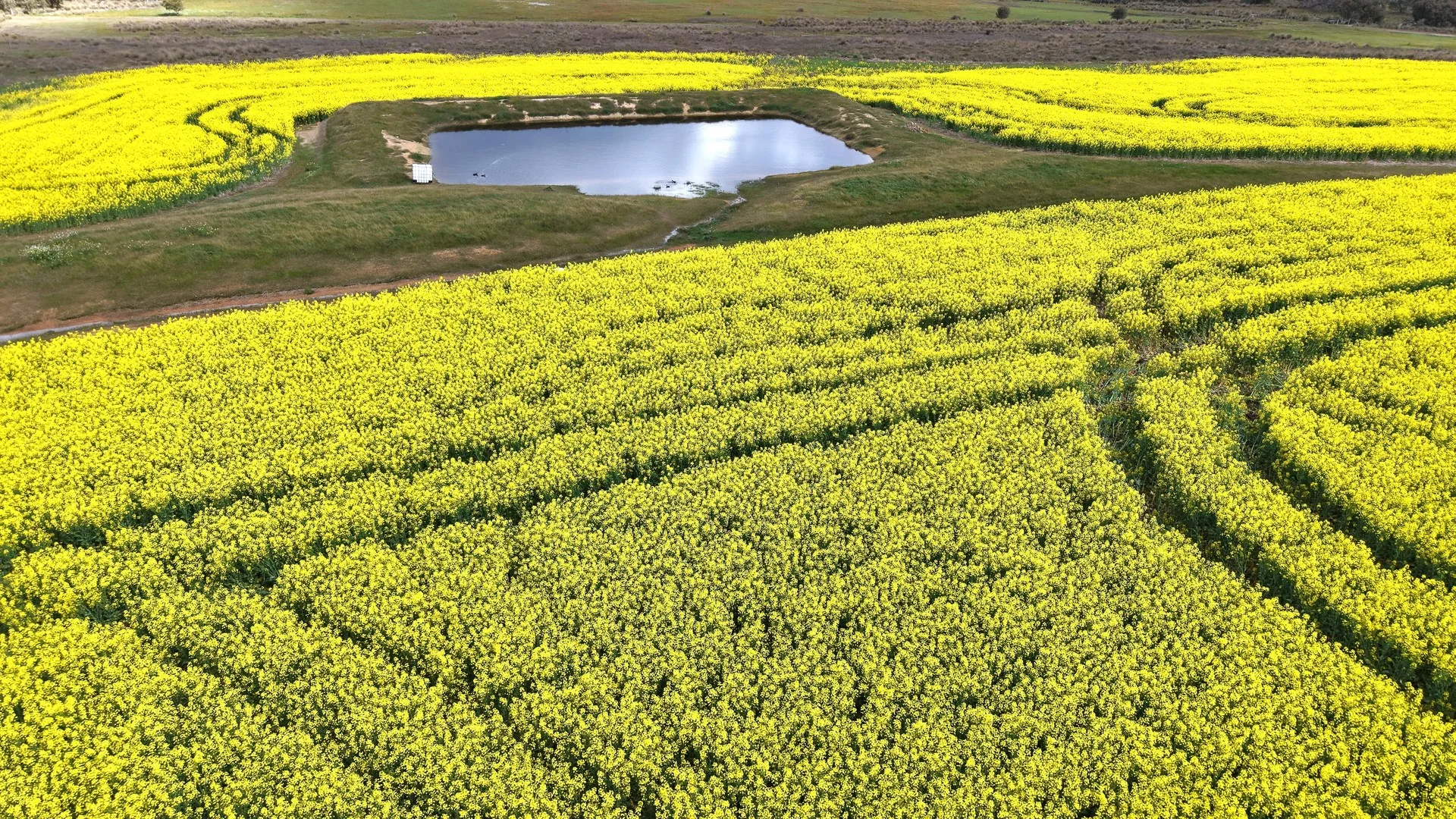 Additional image 4 of 171 Kwornicup Road, Forest Hill WA 6324