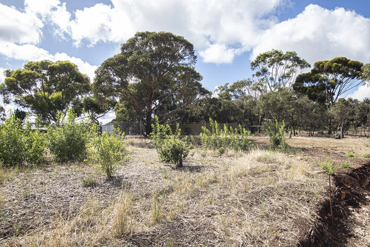 Additional image 14 of 8,9,14 and 15/31 Sturt Lane, Onkaparinga Heights SA 5163
