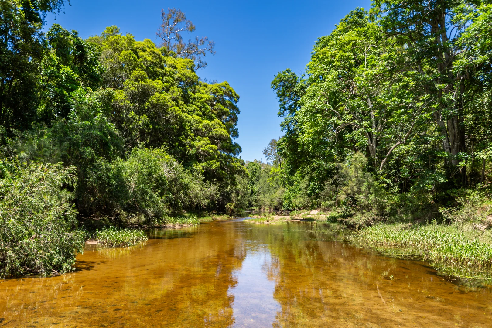 Additional image 19 of 42984 Bruce Highway, Colosseum QLD 4677