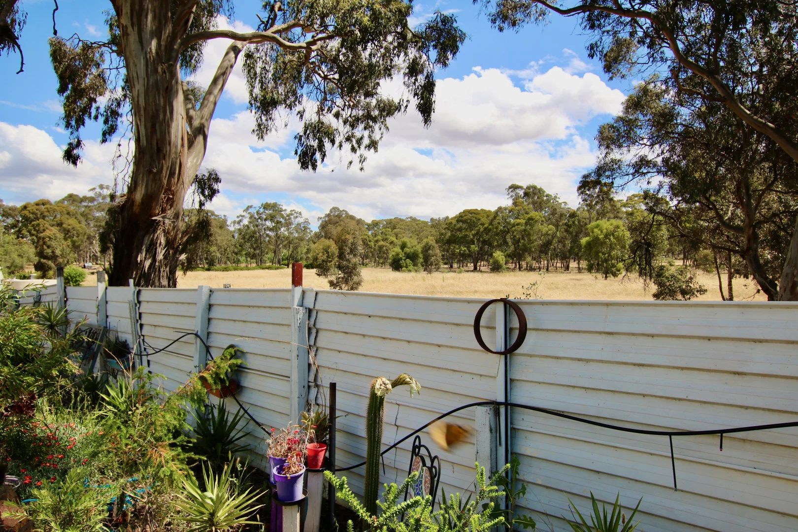 Additional image 17 of 35-37 Godfrey Street, Wedderburn VIC 3518