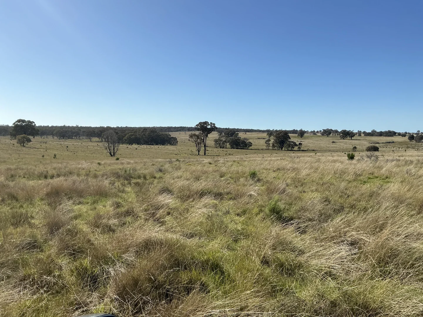 Additional image 11 of 424 Trebane Road, Crowther NSW 2803