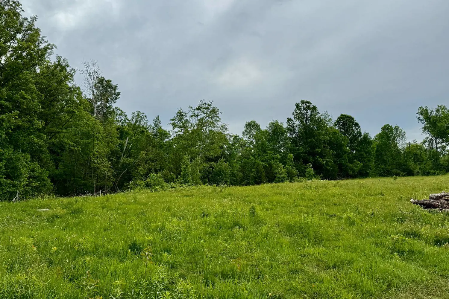 Additional image 11 of 00 Cooper Road