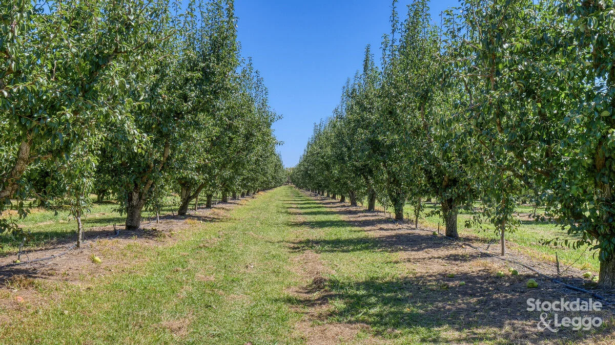 Additional image 19 of 645 New Dookie Road, Lemnos VIC 3631