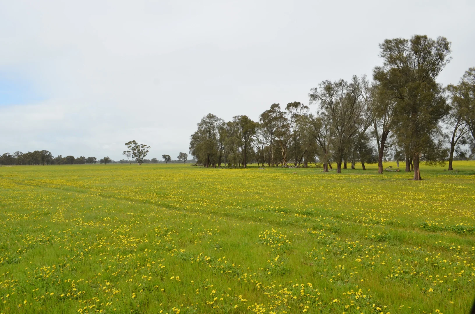 Additional image 5 of 260 Burns Munn Road, Edenhope VIC 3318