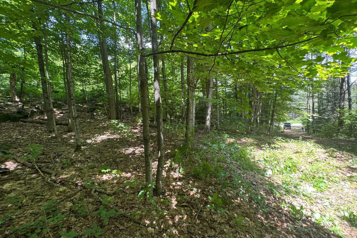 Additional image 4 of Pt Lt 112 Con A