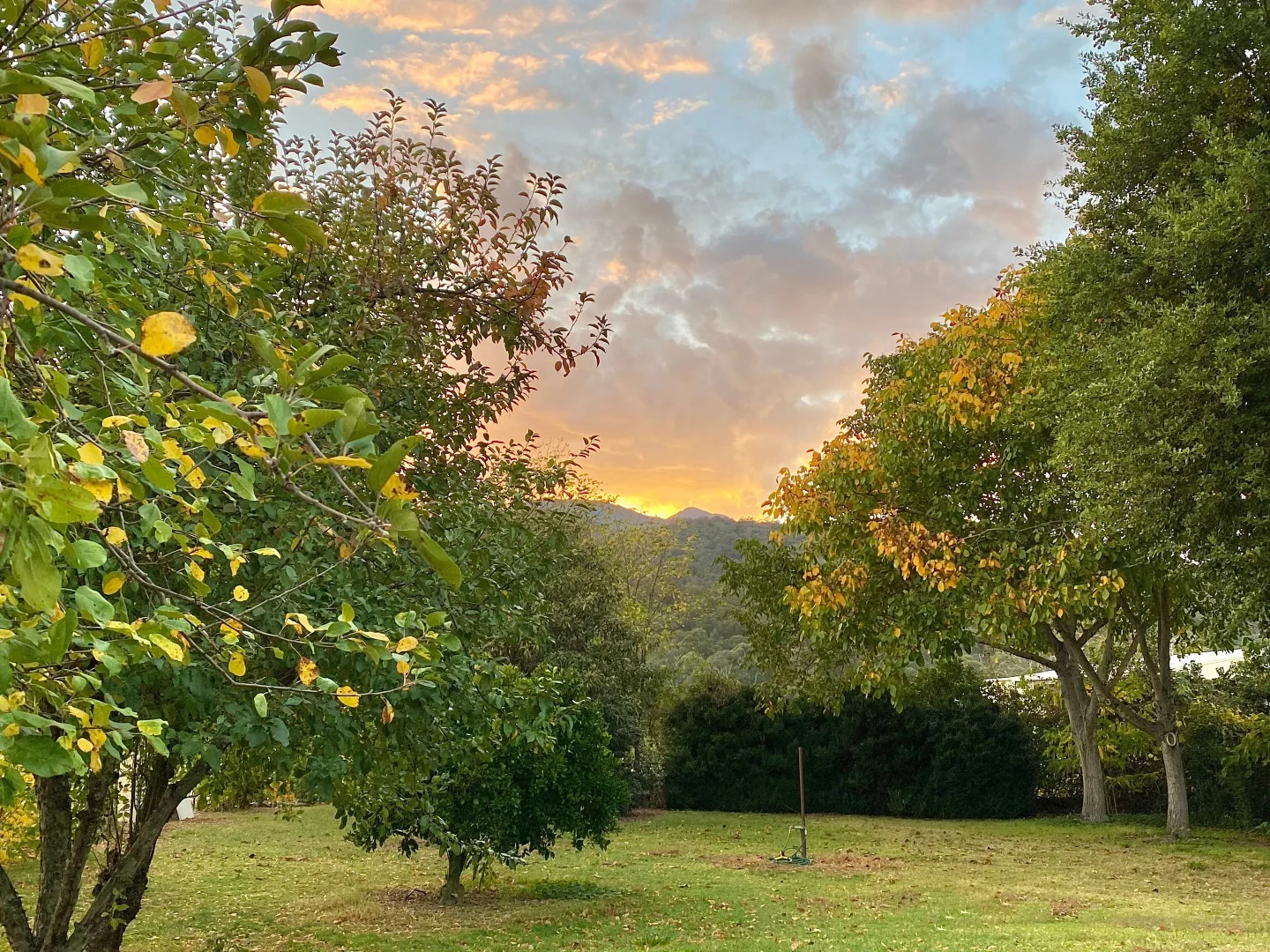 Additional image 6 of Mount Beauty VIC 3699