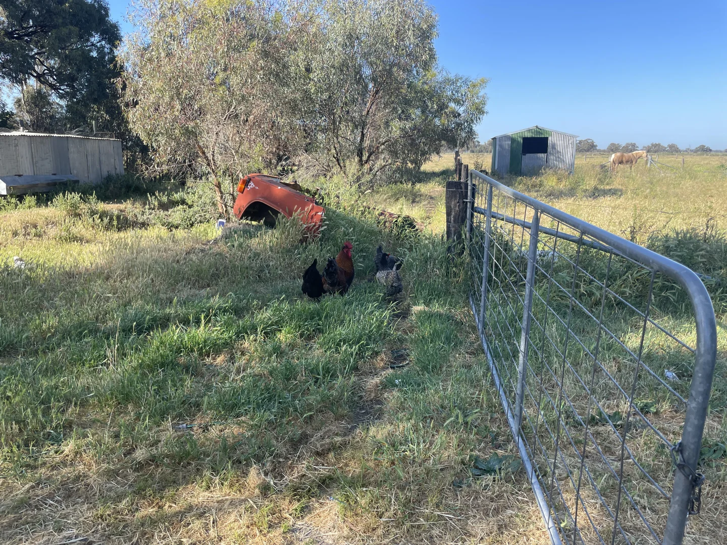 Additional image 11 of 'Yileen' 4371 Moulamein Road, Tullakool NSW 2732