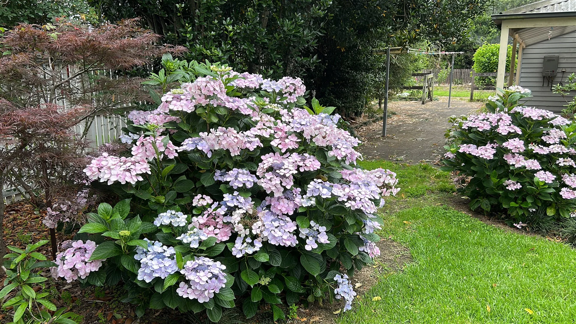 Additional image 23 of 6 Holme Street, Terara NSW 2540