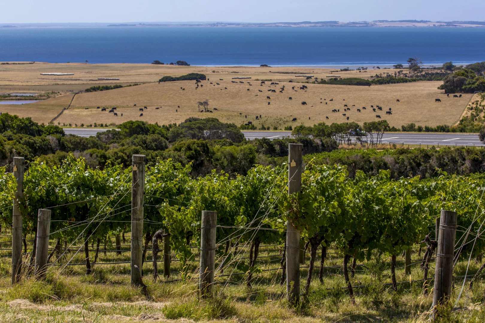 Additional image 28 of 215 Phillip Island Road, San Remo VIC 3925