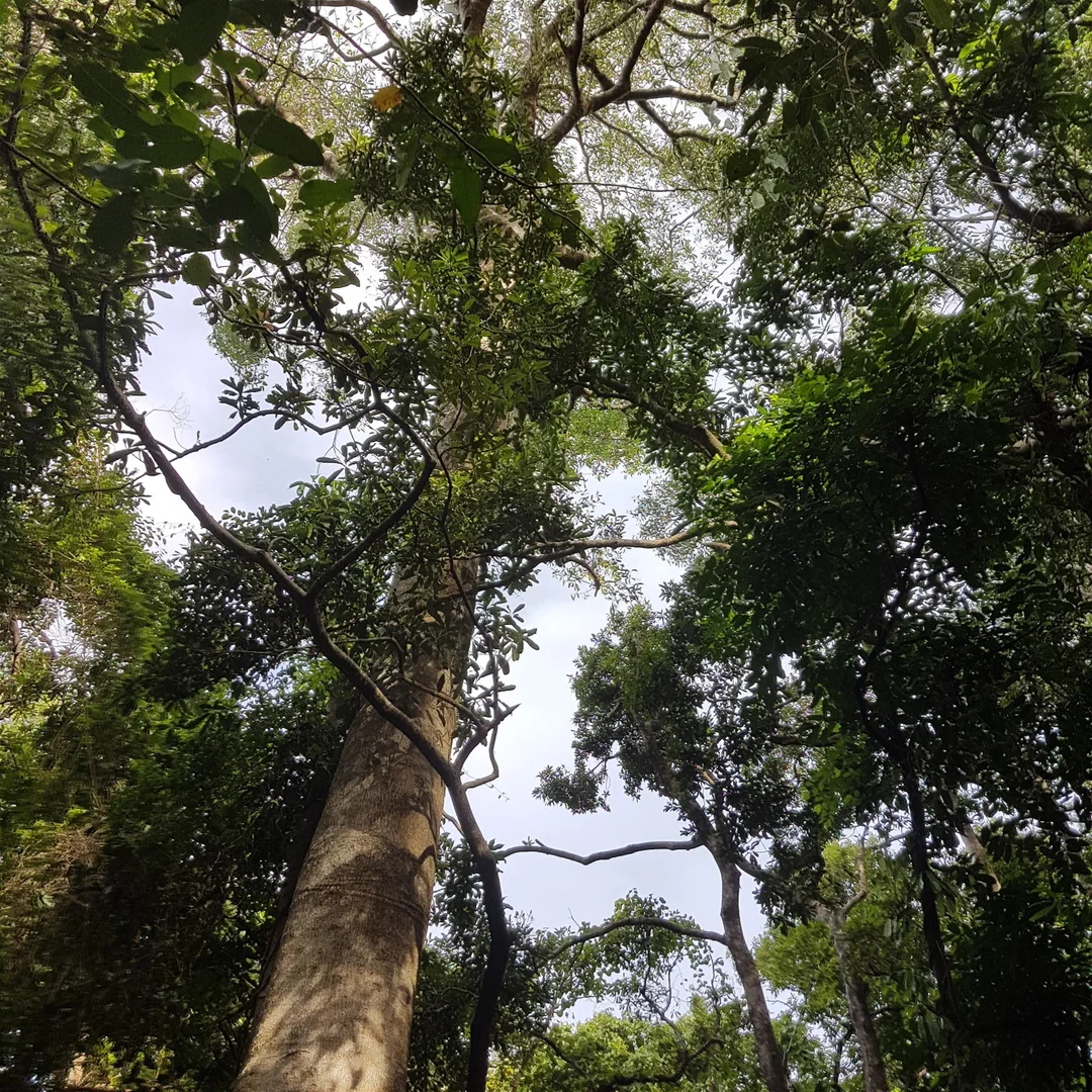 Additional image 22 of 29 Railway Avenue, Cooktown QLD 4895