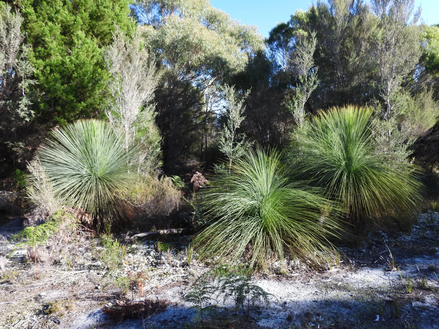 Additional image 12 of 3 Vinegar Hill Drive, Lady Barron TAS 7255