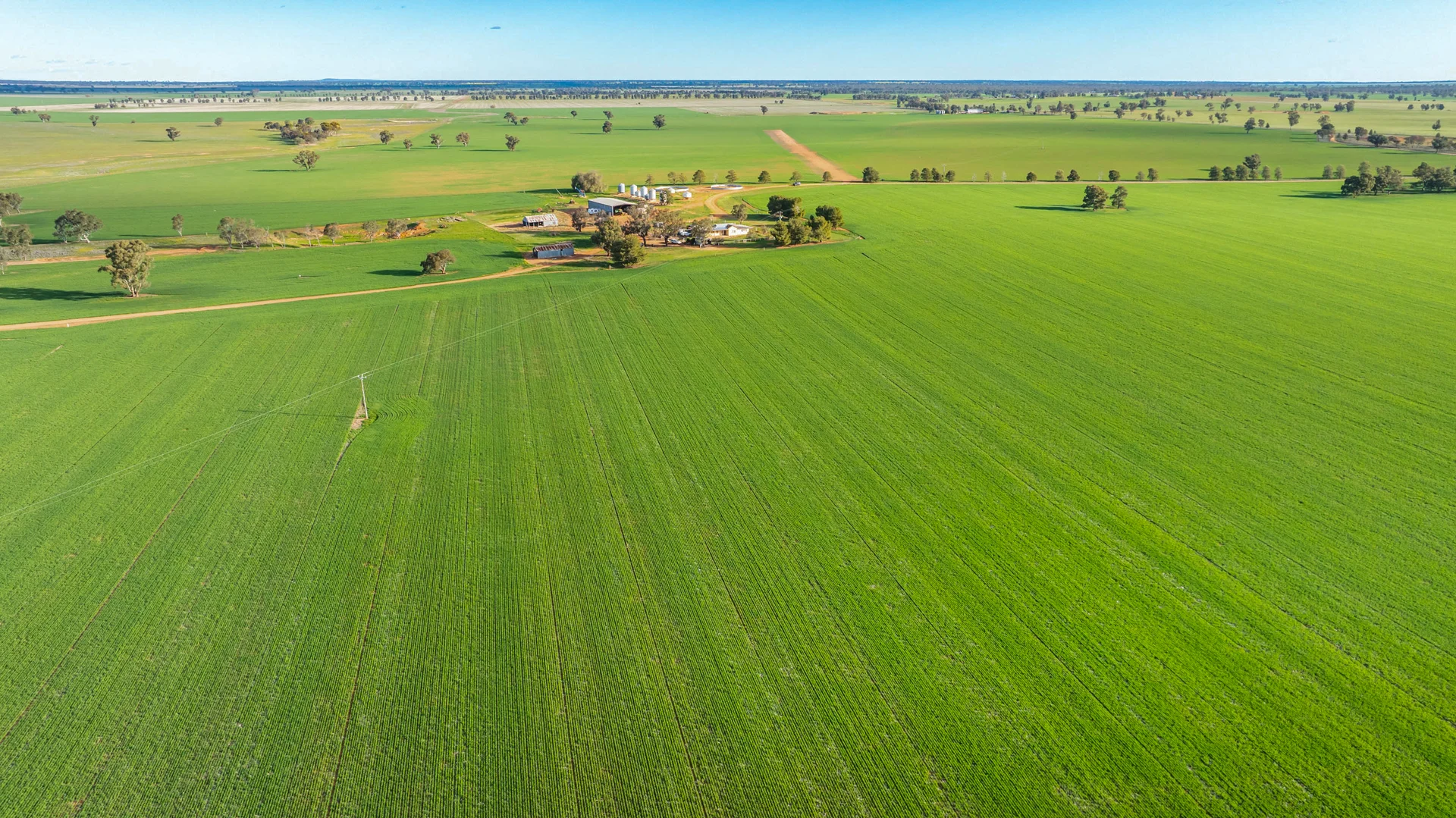 Additional image 7 of 1250 Barracluffs Road, Bidgeemia NSW 2642