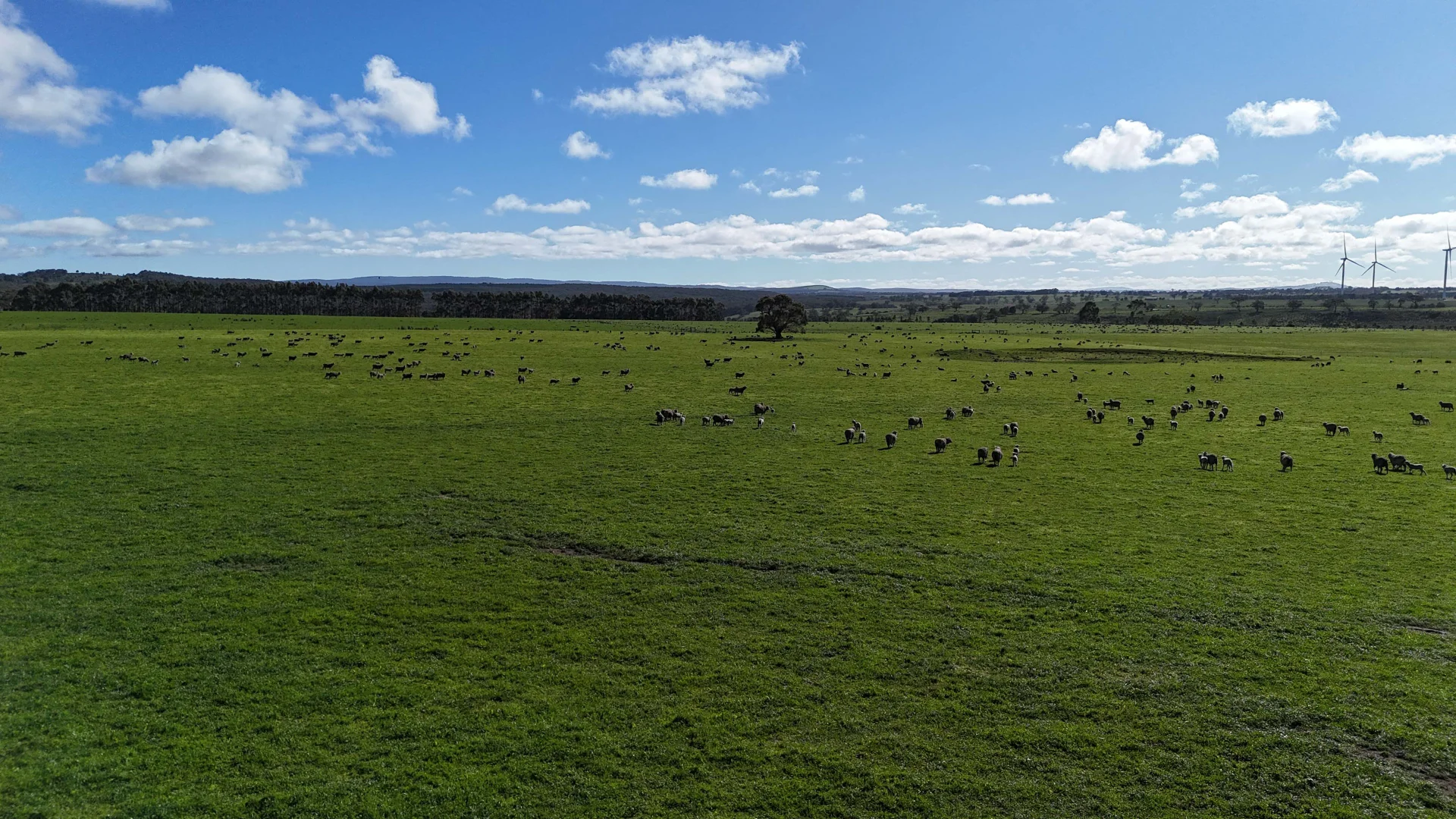 Additional image 15 of 1 McDonalds Lane, Ballan VIC 3342