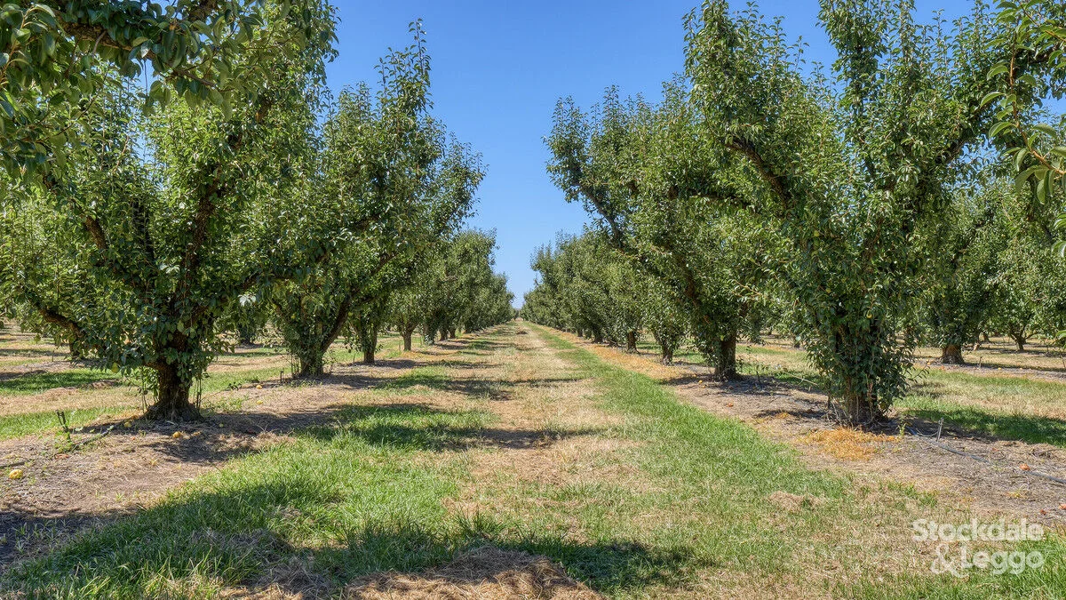 Additional image 23 of 645 New Dookie Road, Lemnos VIC 3631