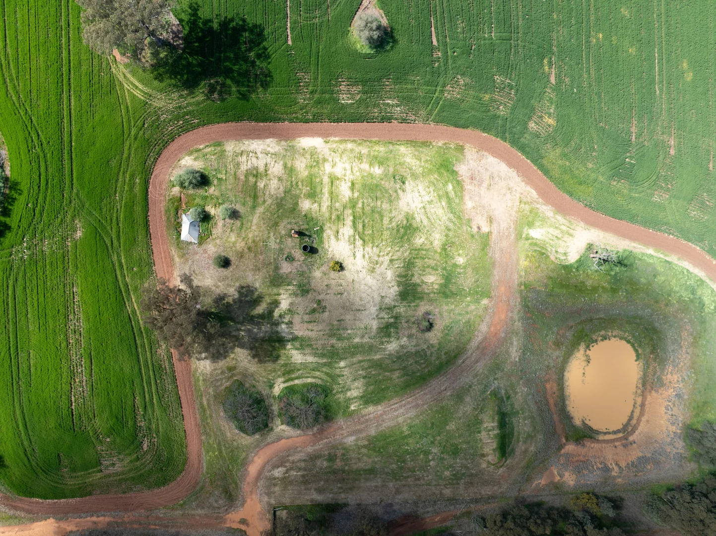 Additional image 4 of 532 Cottee Road, Currawarna NSW 2650