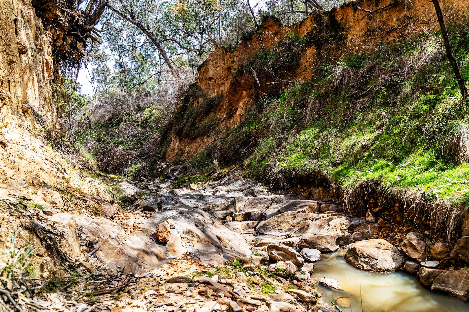 Additional image 8 of 125 Dirt Hole Creek Road, Mudgee NSW 2850