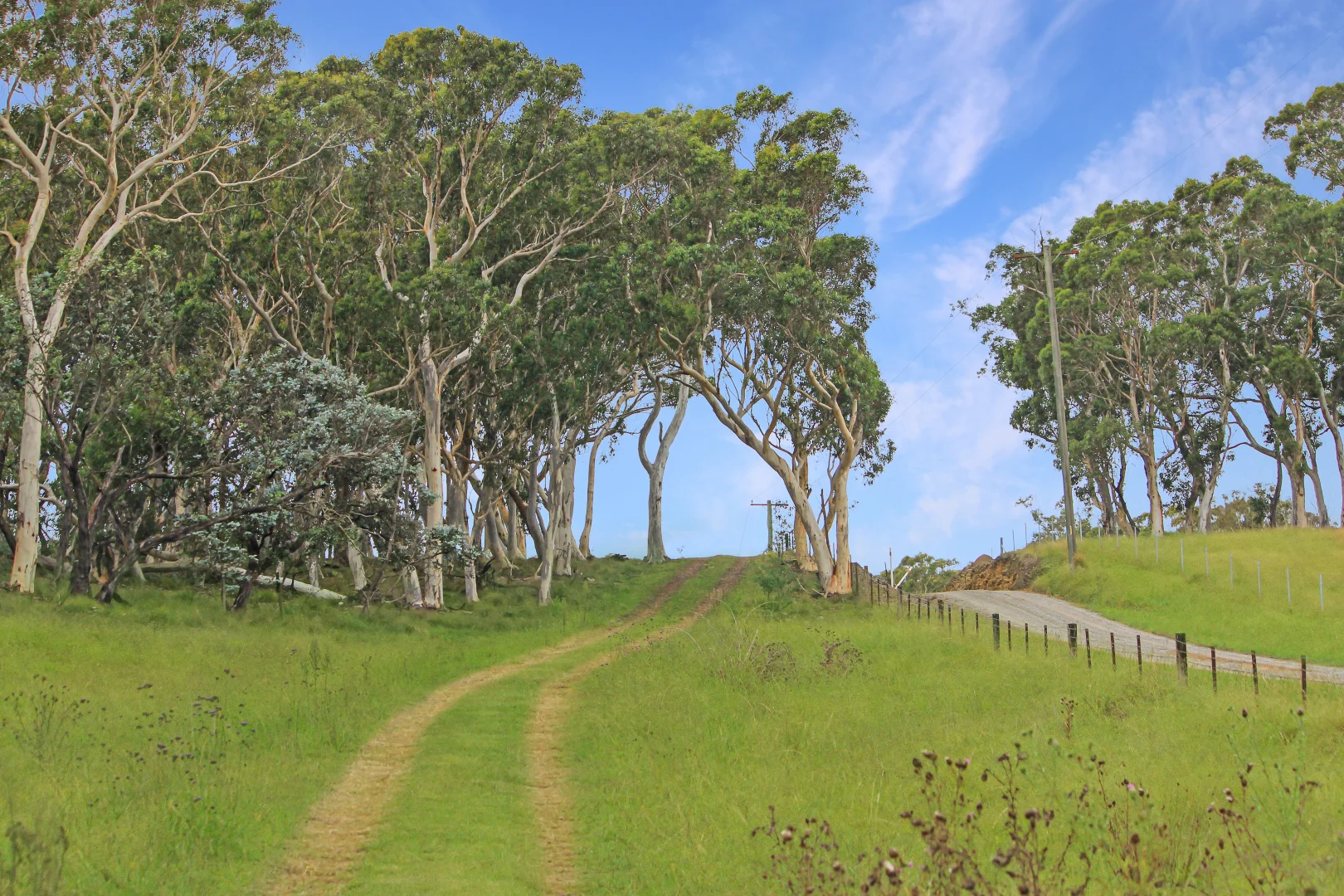 Additional image 11 of 272 Inverary Road, Paddys River NSW 2577