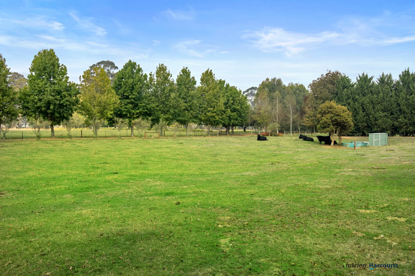 Additional image 22 of 614 Goulburn Valley Highway, Thornton VIC 3712