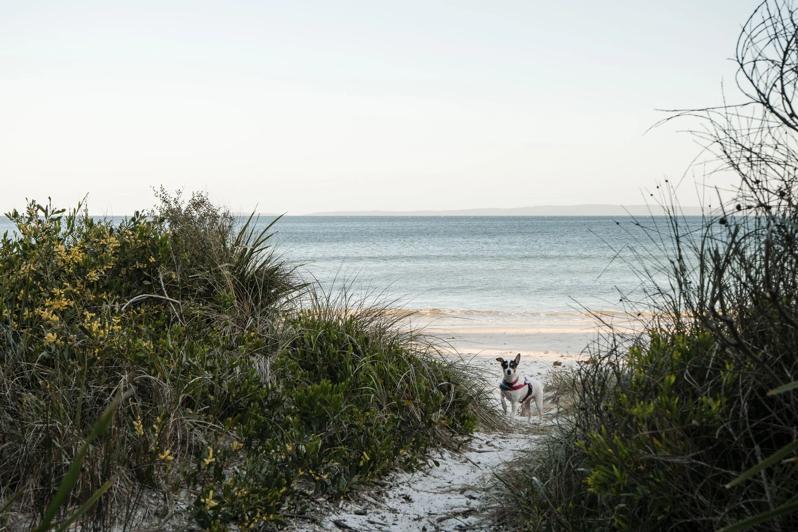 Additional image 44 of 80 Lennox Road, Callala Beach NSW 2540
