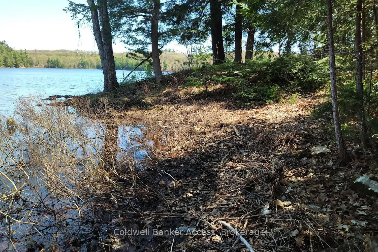 Additional image 2 of 153 Highway 124