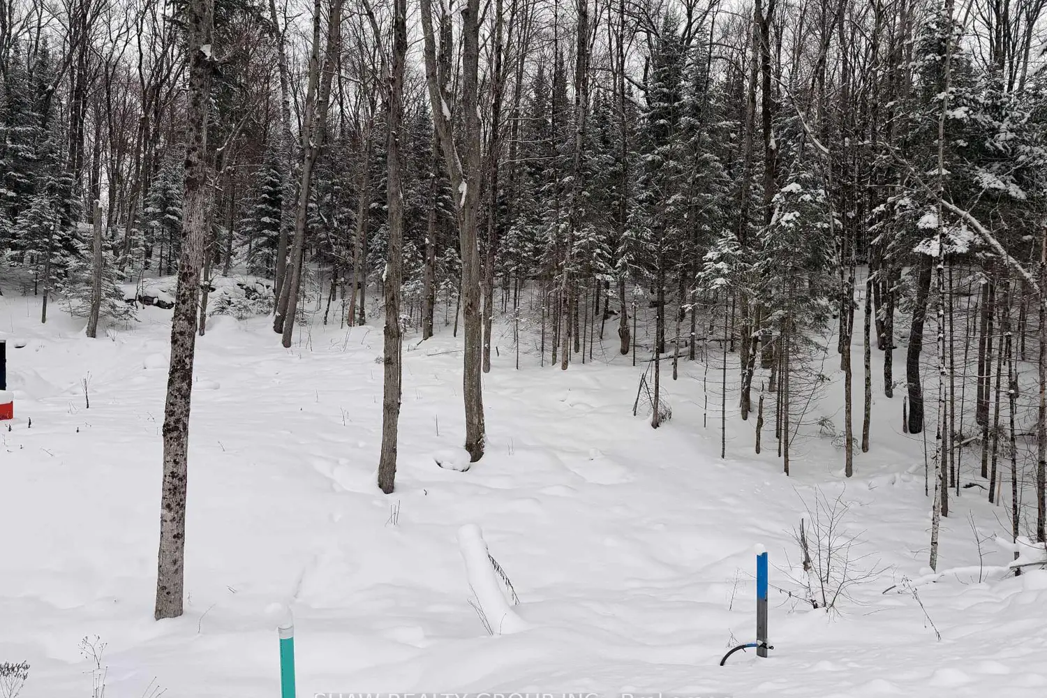 23 St Andrews Circle