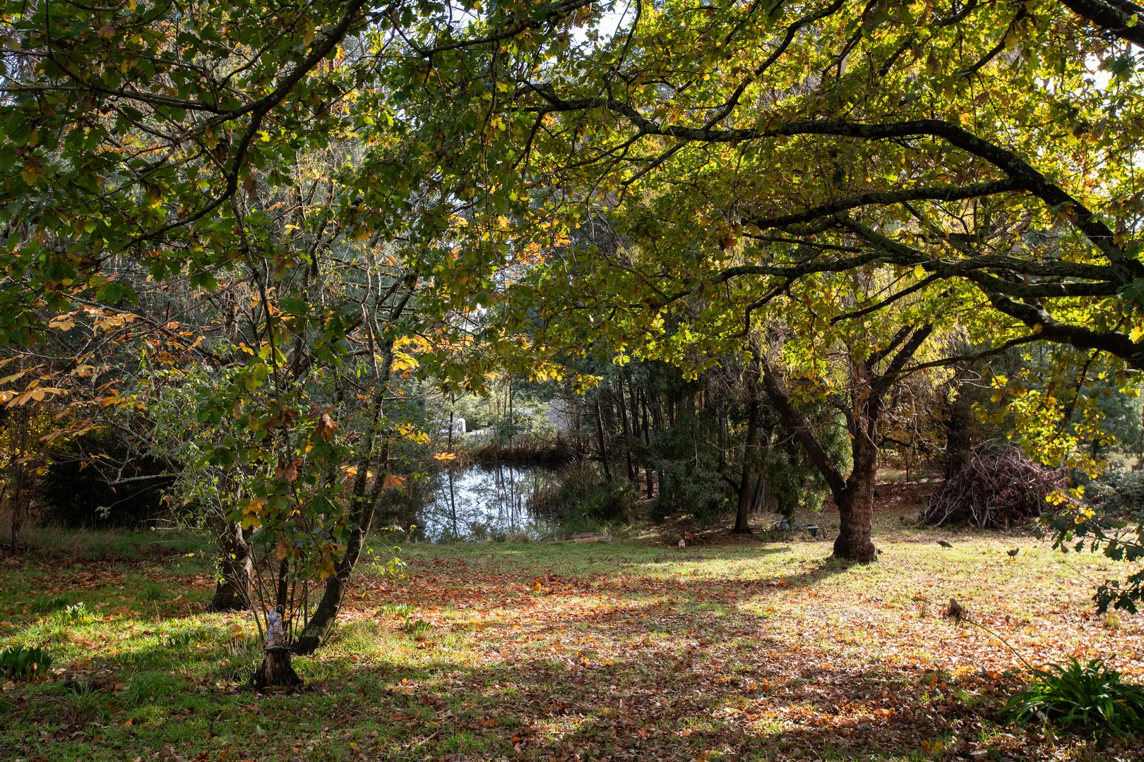 Additional image 19 of 13 Morrison Street, Kimberley TAS 7304