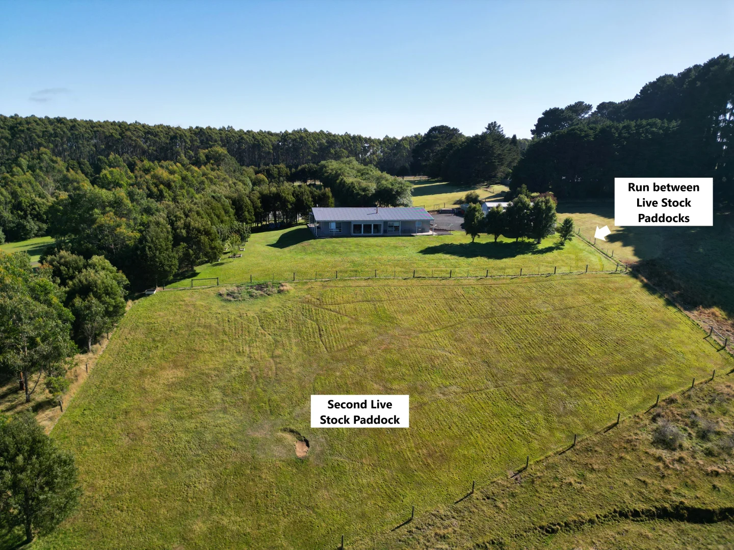 Additional image 11 of 4695 Colac Lavers Hill Road, Wyelangta VIC 3237