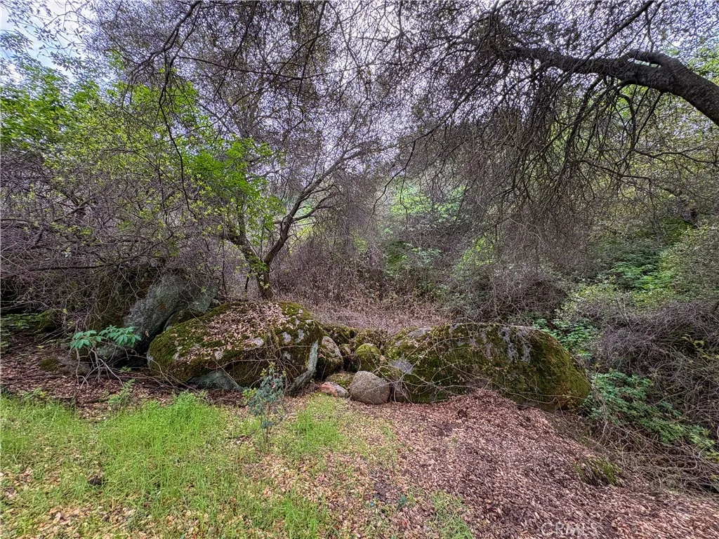 Additional image 75 of 39313 Squaw Valley, Squaw Valley, CA 93675