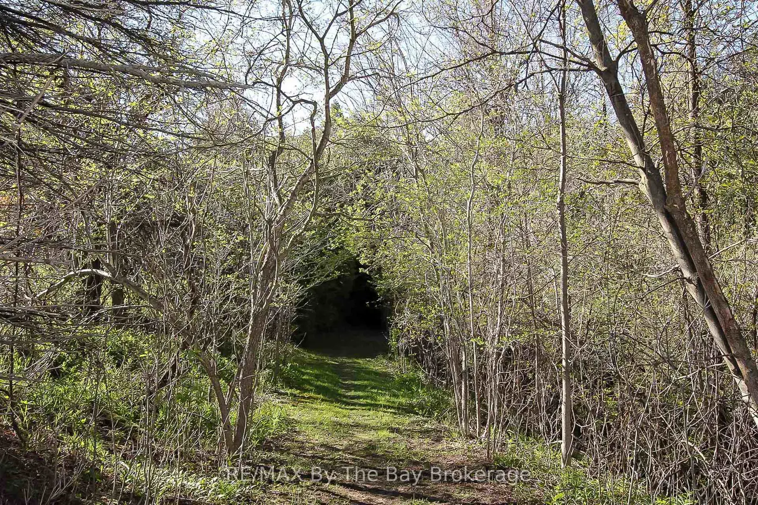 Additional image 17 of 630 Sunnidale Road