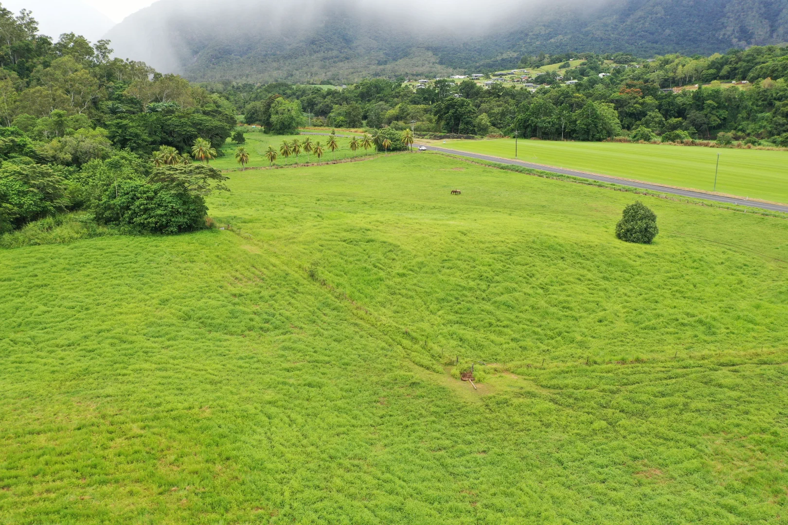 Additional image 6 of Gillies Range Road, Little Mulgrave QLD 4865