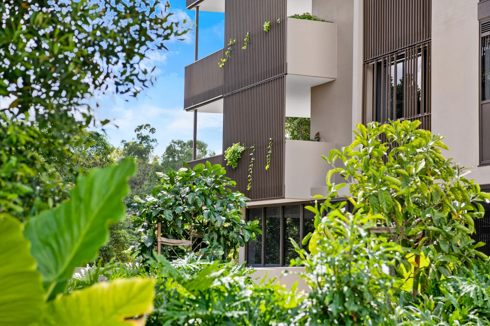 Additional image 18 of 844/135 Meiers Road, Indooroopilly QLD 4068