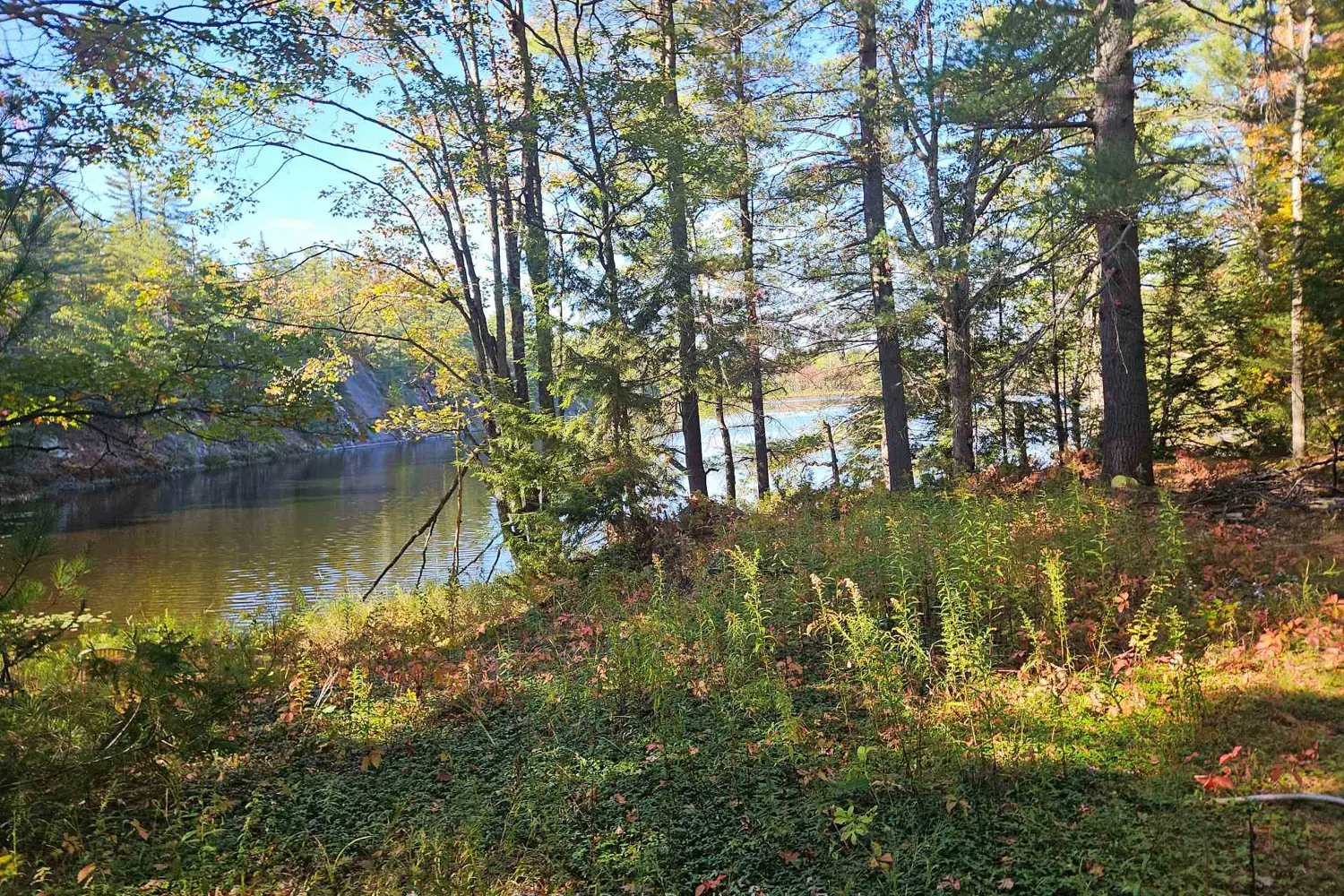 Additional image 6 of 1112 Sam Cook Road