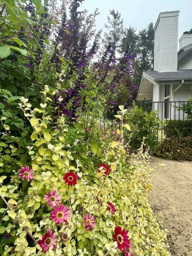 Additional image 61 of 5660 Tamarisk Way, San Luis Obispo, CA 93401