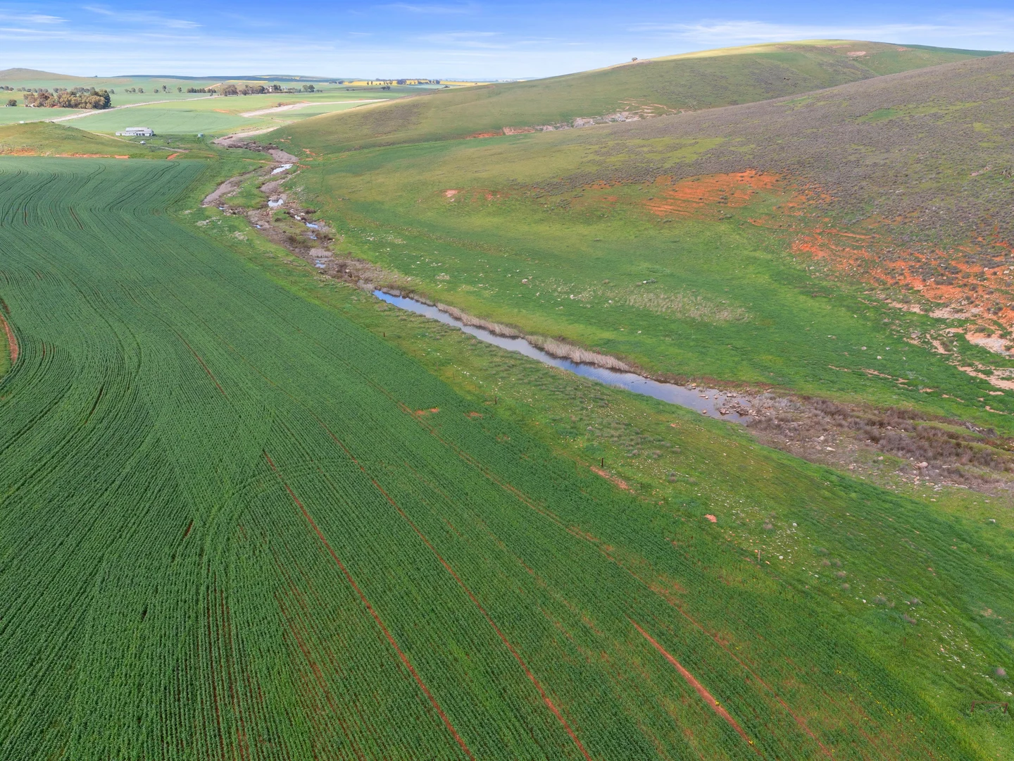 Additional image 18 of 2489 R M Williams Way, Spalding SA 5454