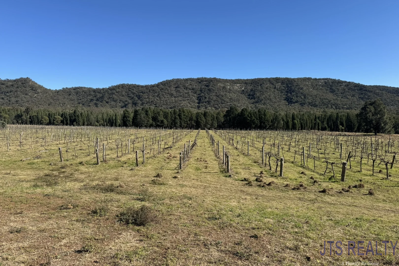 Additional image 17 of 2039 Golden Highway, Sandy Hollow NSW 2333