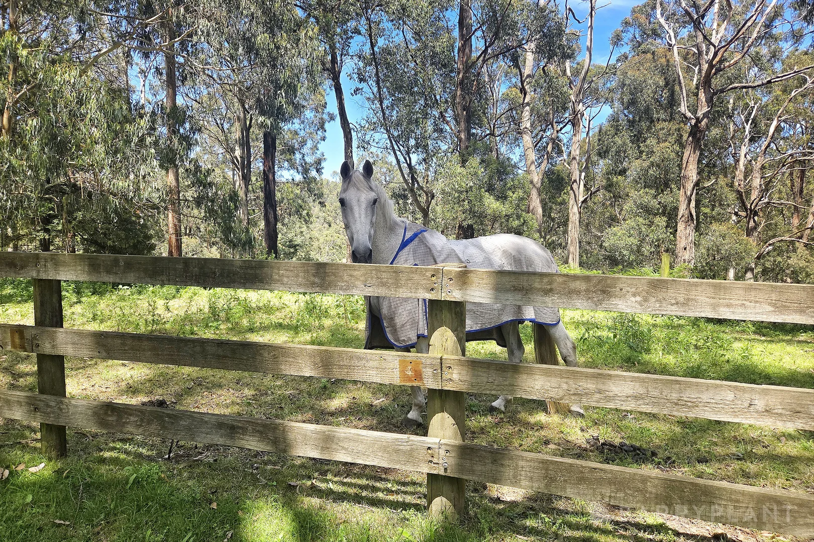 Additional image 16 of 15 Livio Drive, Gembrook VIC 3783