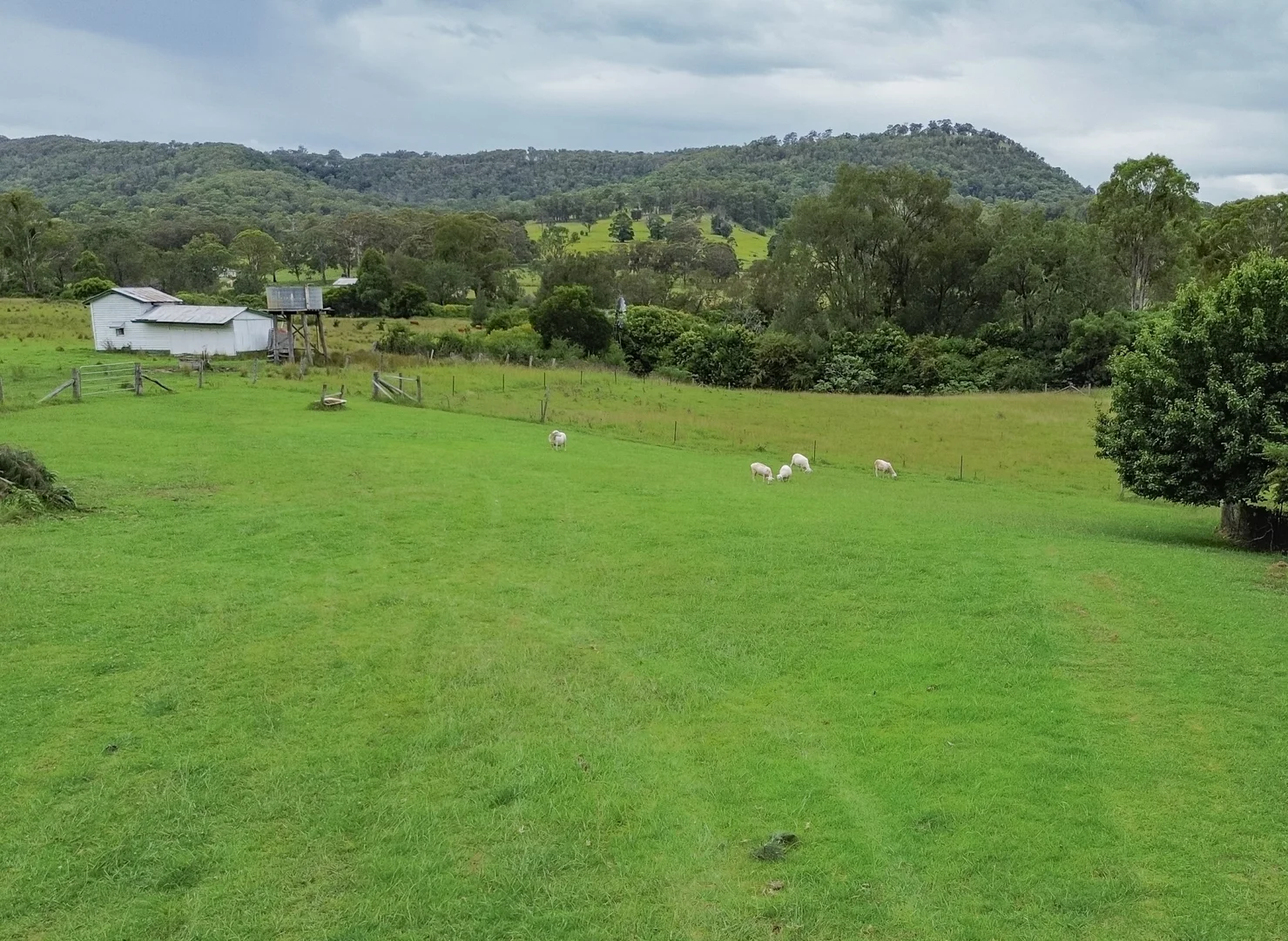 Additional image 26 of 80 Tooloom Street, Legume NSW 2476