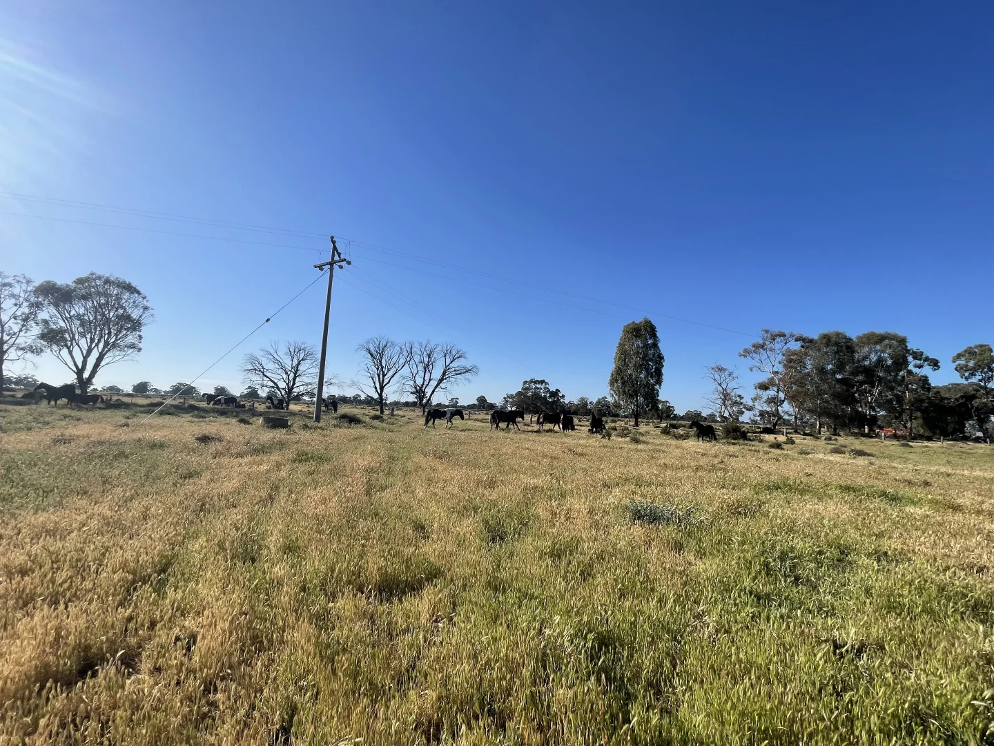 Additional image 24 of 'Yileen' 4371 Moulamein Road, Tullakool NSW 2732