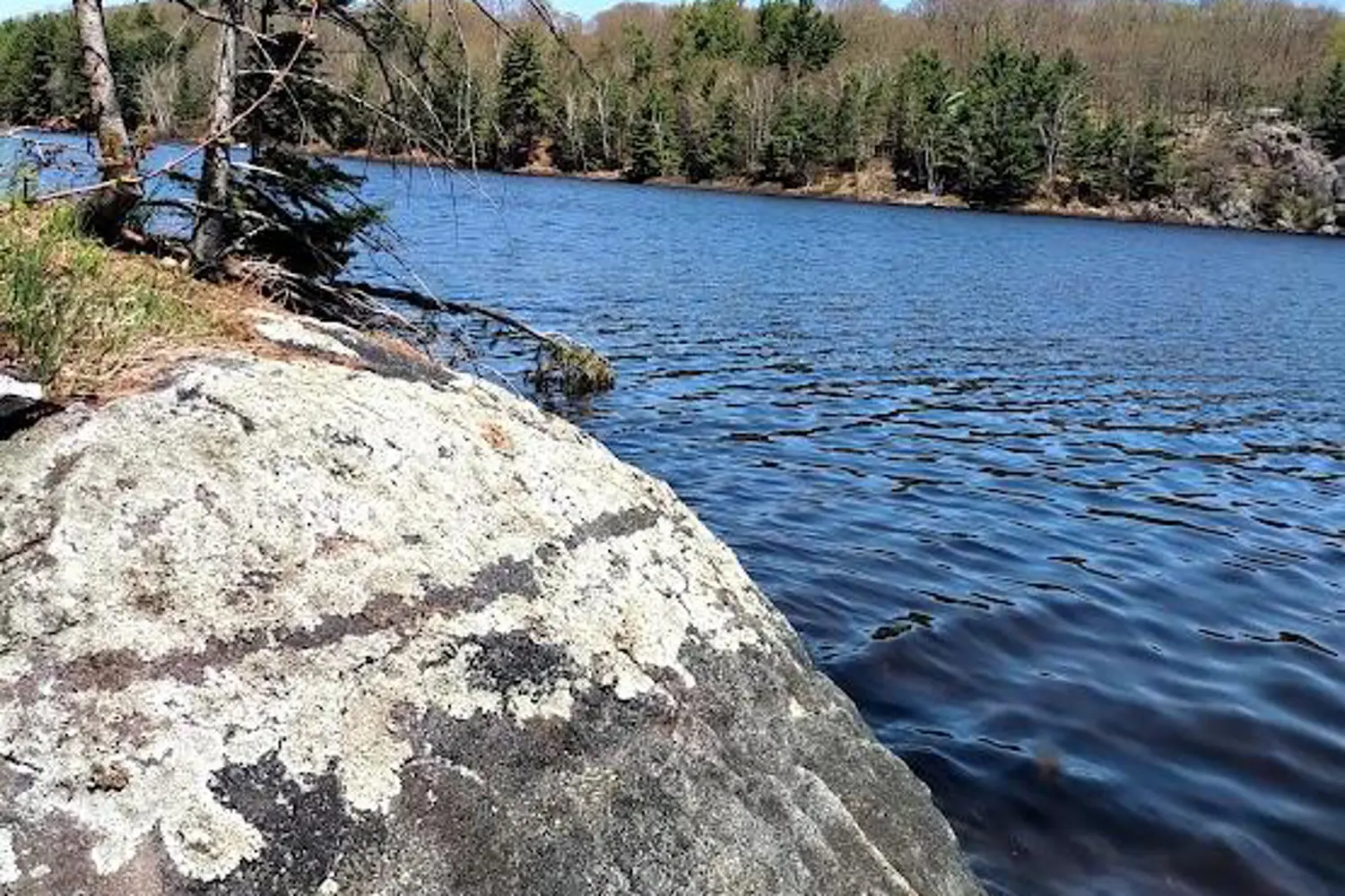 Additional image 4 of 153 Highway 124