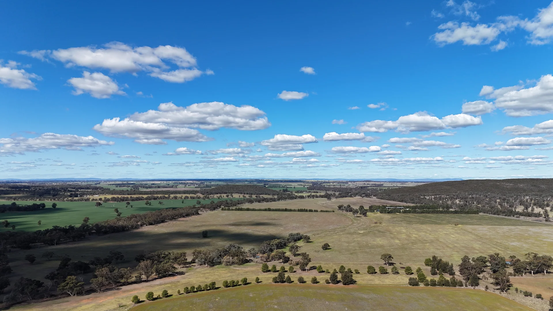 Additional image 54 of 3544 Henry Parkes Way, Bogan Gate NSW 2876