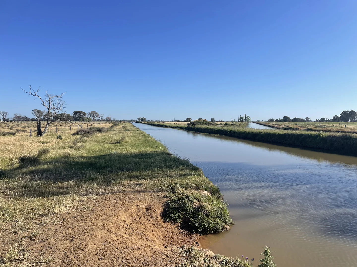 Additional image 13 of 'Yileen' 4371 Moulamein Road, Tullakool NSW 2732