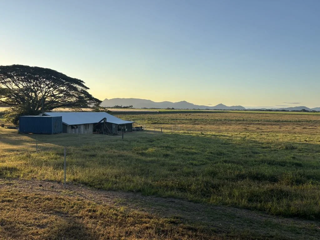 Additional image 5 of 25 Lions Lookout Road, Blackrock QLD 4850
