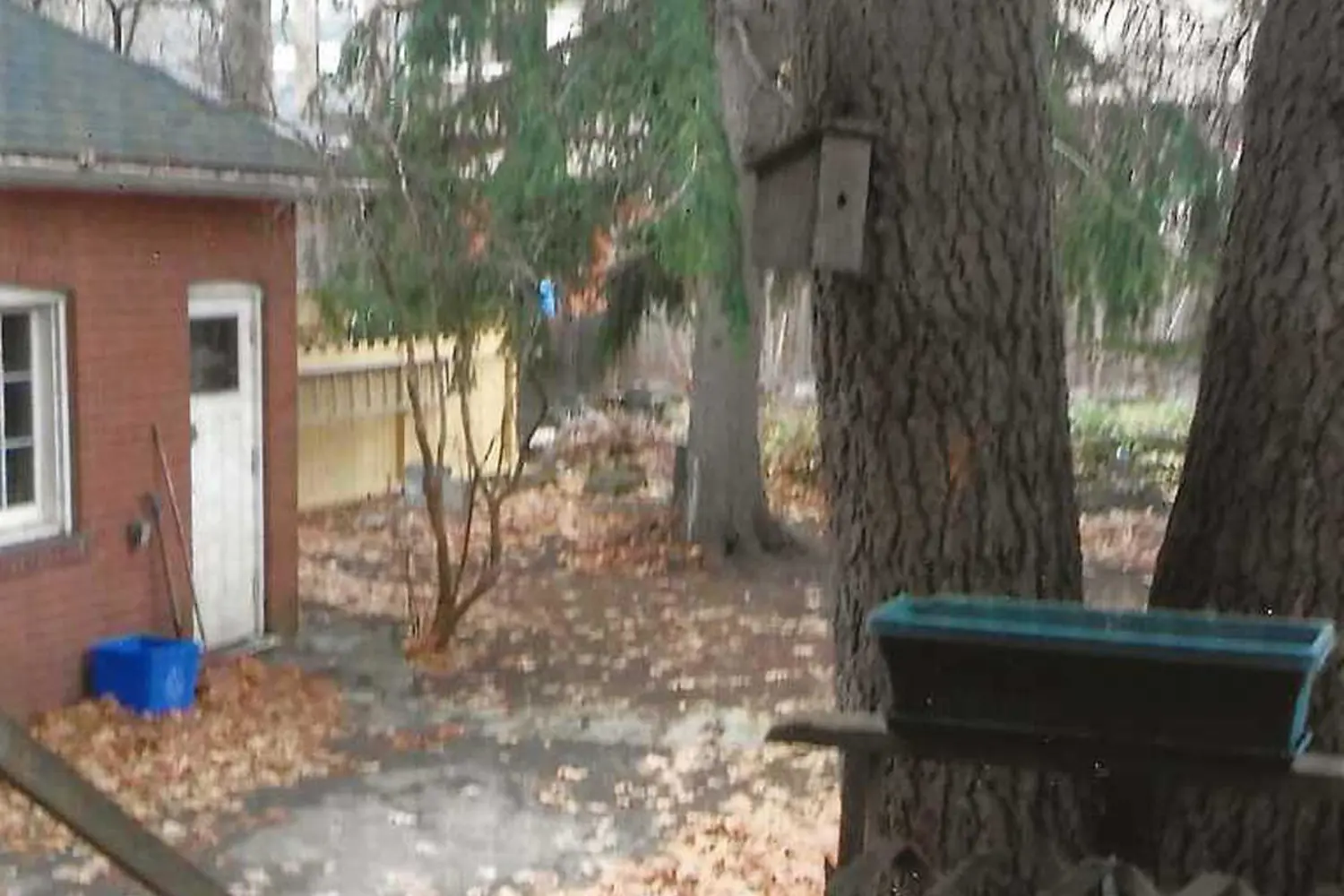 Additional image 17 of 16 Wellington Street