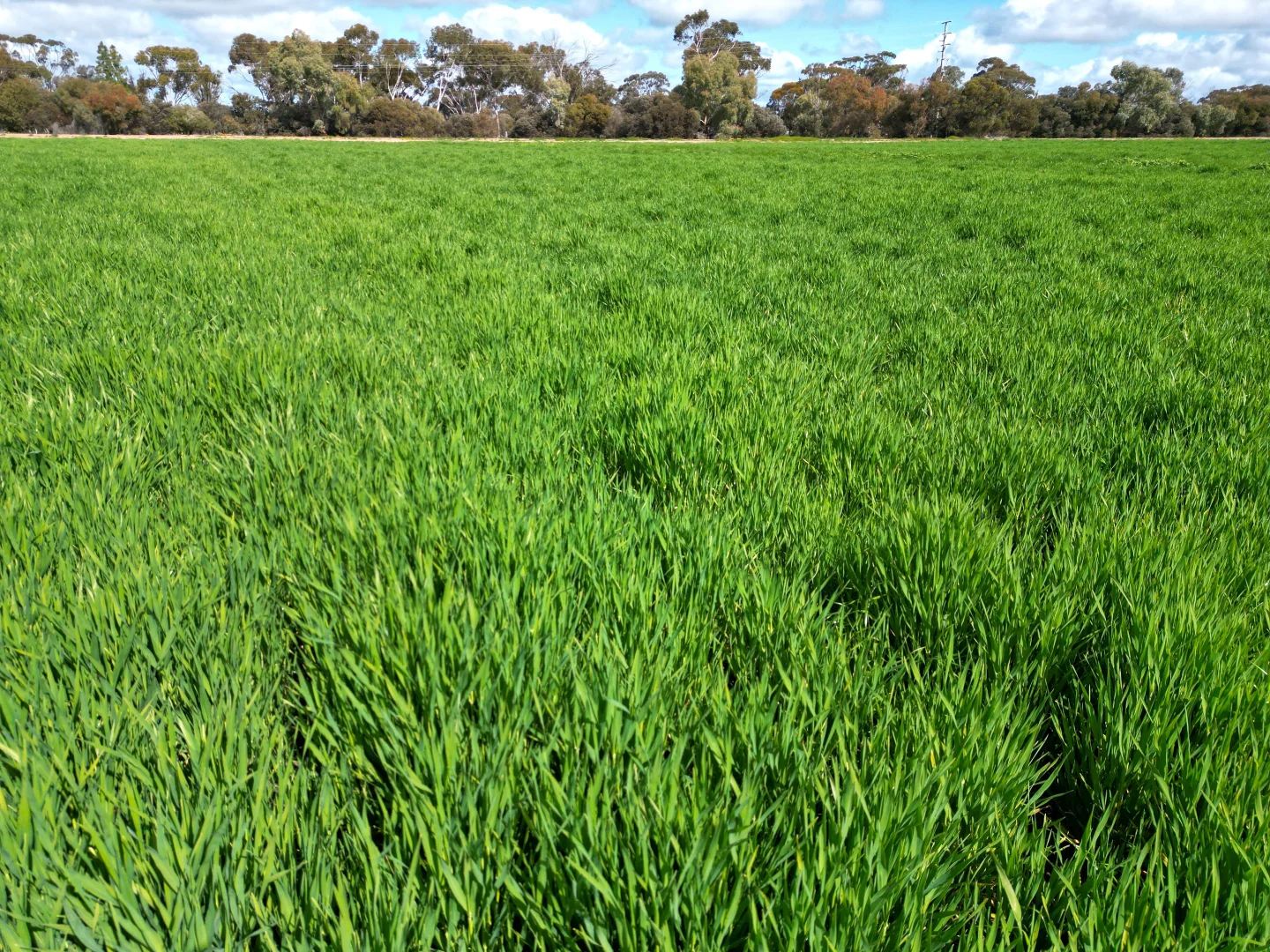 Additional image 18 of 19 Little Murray Weir Road, Castle Donnington VIC 3585